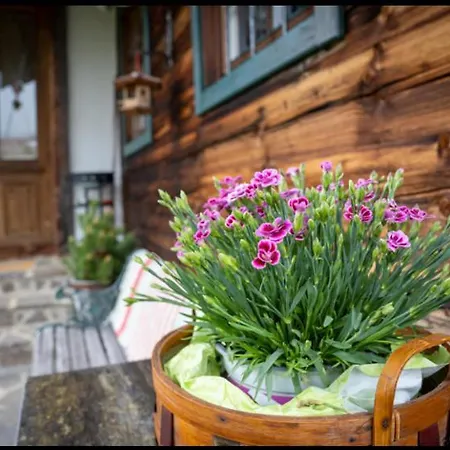 Ferienhaus Weissenbacher Tatil Evi Feistritz ob Bleiburg
